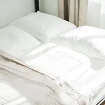 Modern Central City Rooms